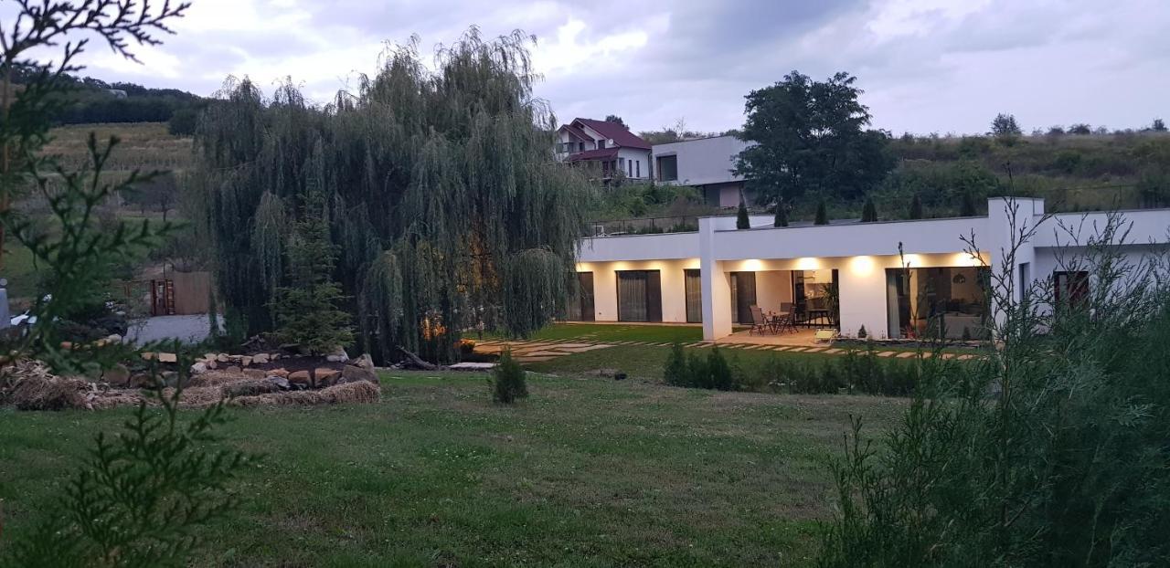 La Salcia Din Padure Lejlighed Alba Iulia Eksteriør billede